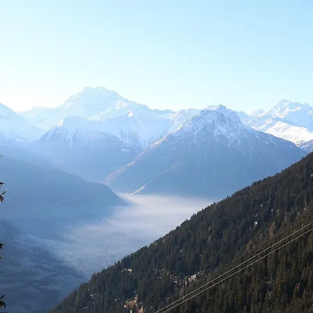 Haus-aristella * Riederalp