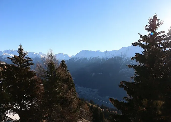 Haus-aristella Riederalp